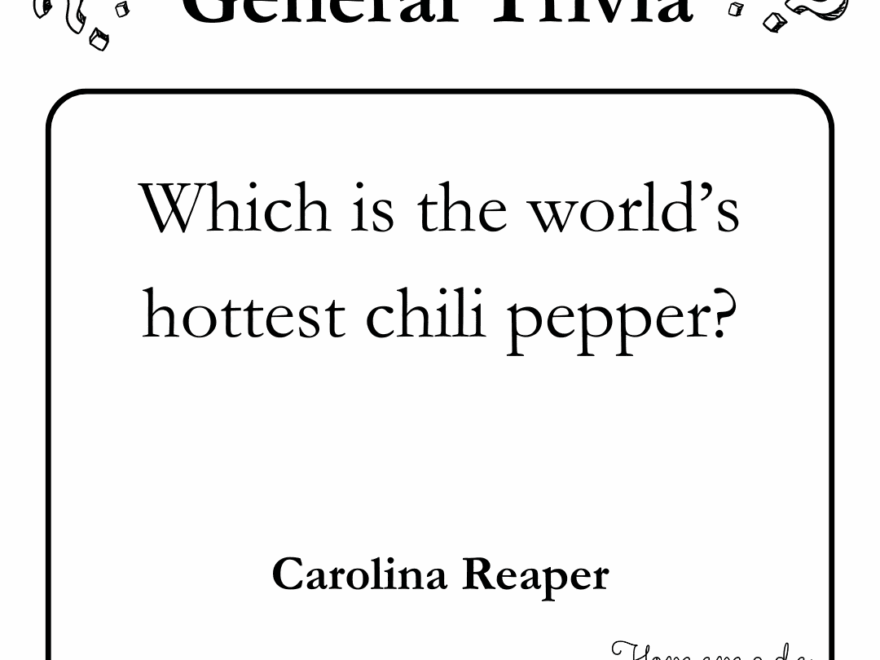 200 Best Trivia Questions Plus Free Printable Trivia Game PDF