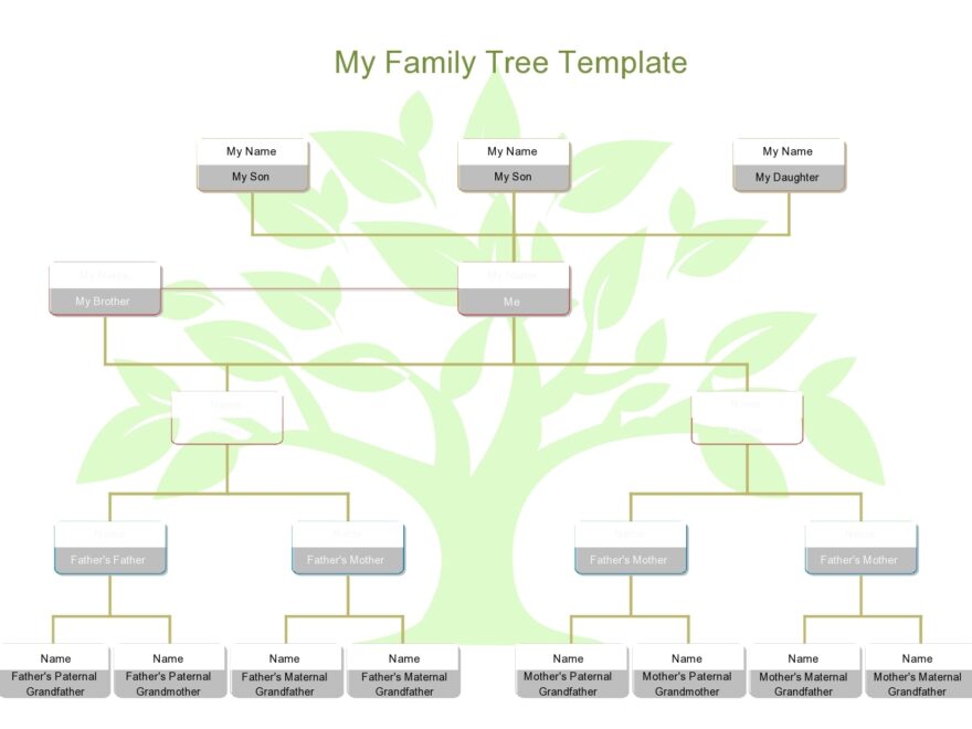30 Editable Family Tree Templates 100 Free TemplateArchive