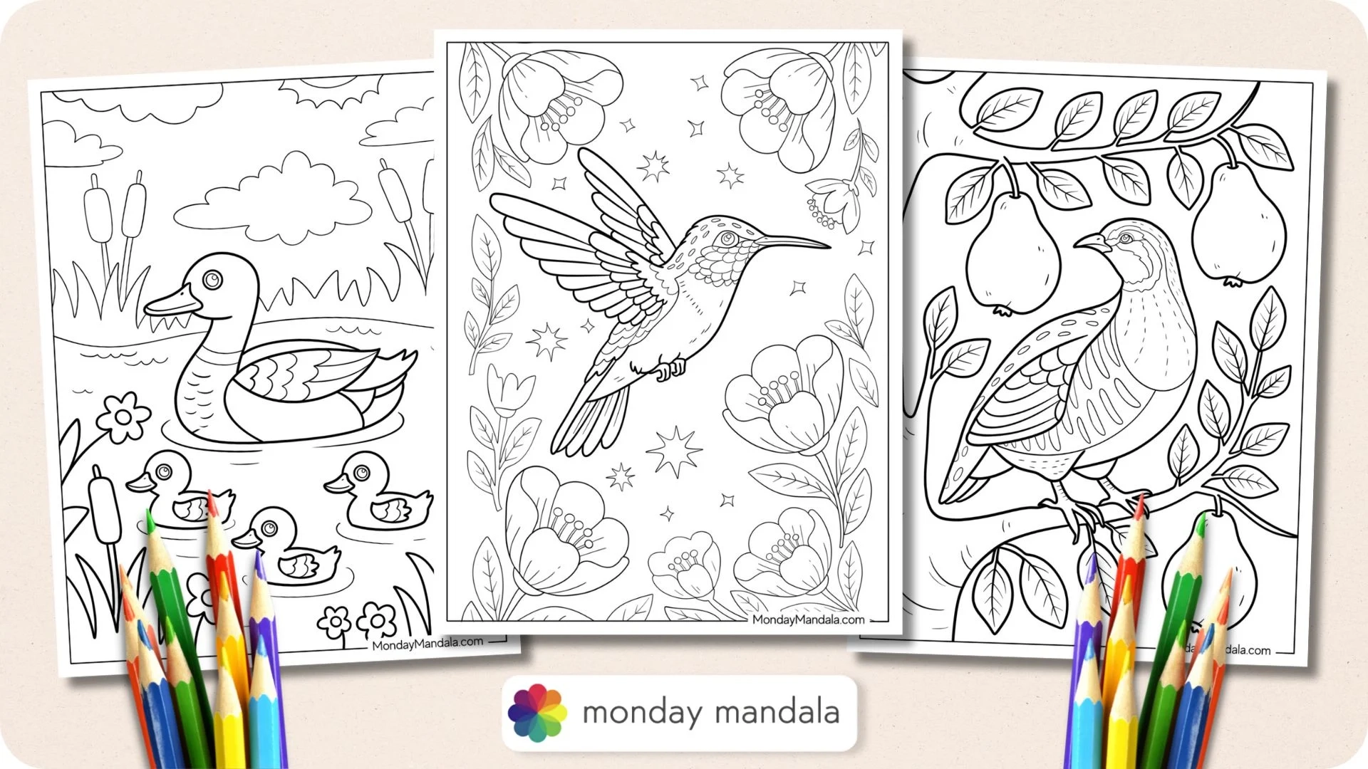 50 Bird Coloring Pages Free PDF Printables 