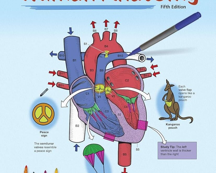 A Visual Analogy Guide To Human Anatomy 9781640431942 Medicine Health Science Books Amazon