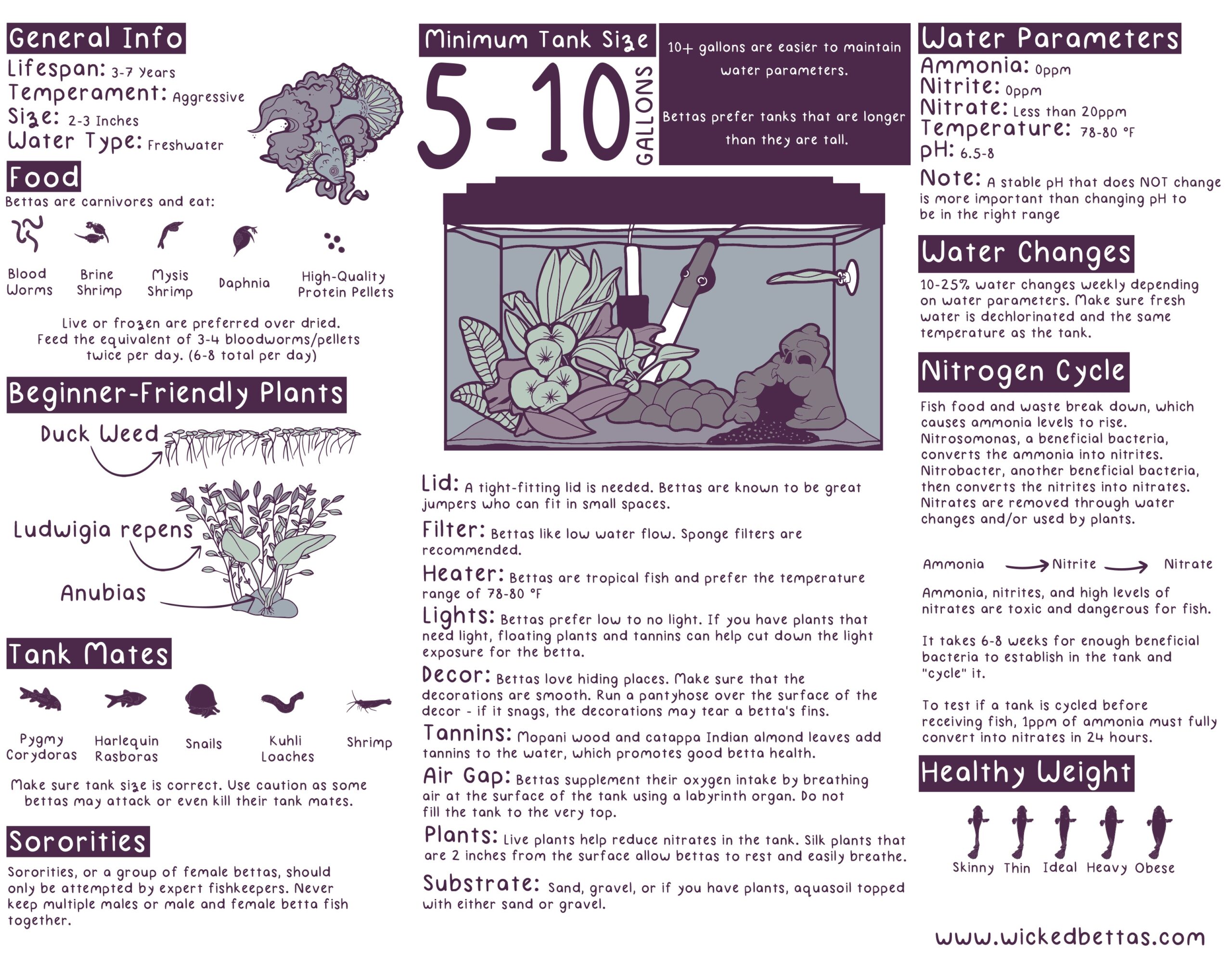 After Receiving Great Feedback Last Time I Made An Updated Betta Care Guide What Do Y all Think R bettafish After Receiving Great Feedback Last Time I Made An Updated Betta Care Guide What Do Y all Think R bettafish