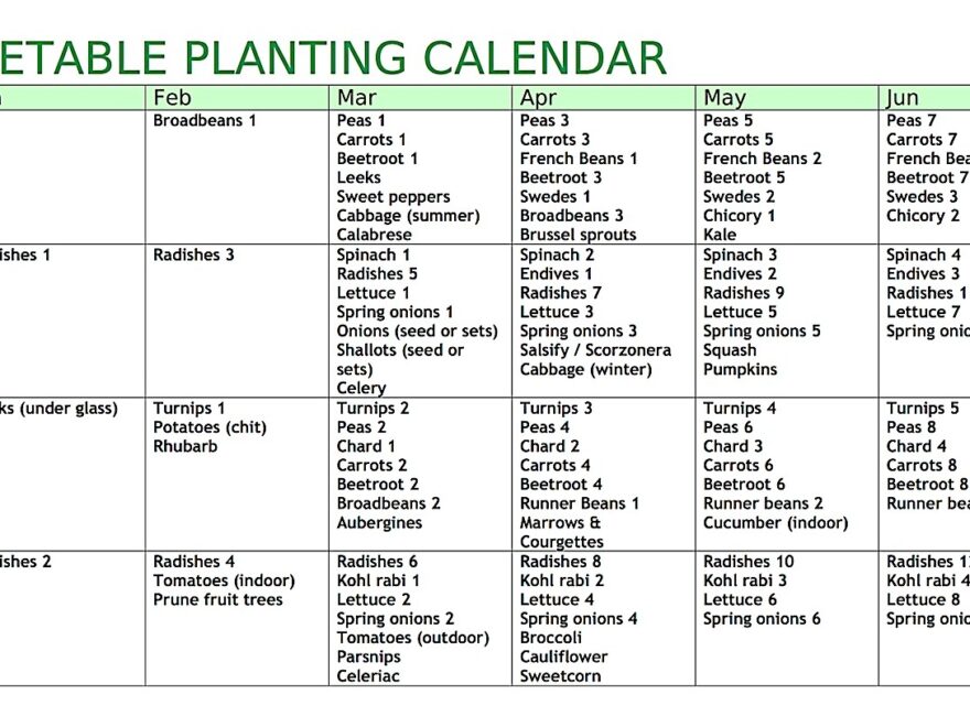 Allotment Heaven Vegetable Planting Calendar
