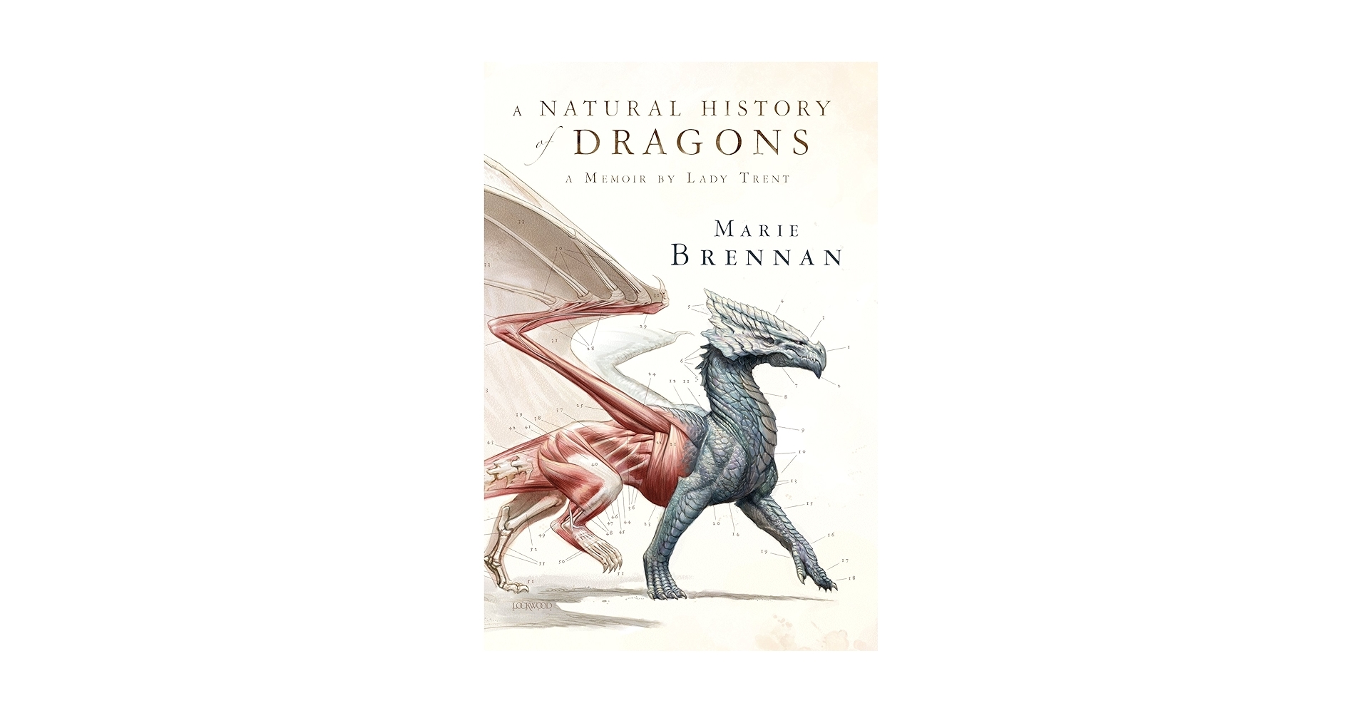 Amazon A Natural History Of Dragons A Memoir By Lady Trent EBook Brennan Marie Kindle Store Amazon A Natural History Of Dragons A Memoir By Lady Trent EBook Brennan Marie Kindle Store