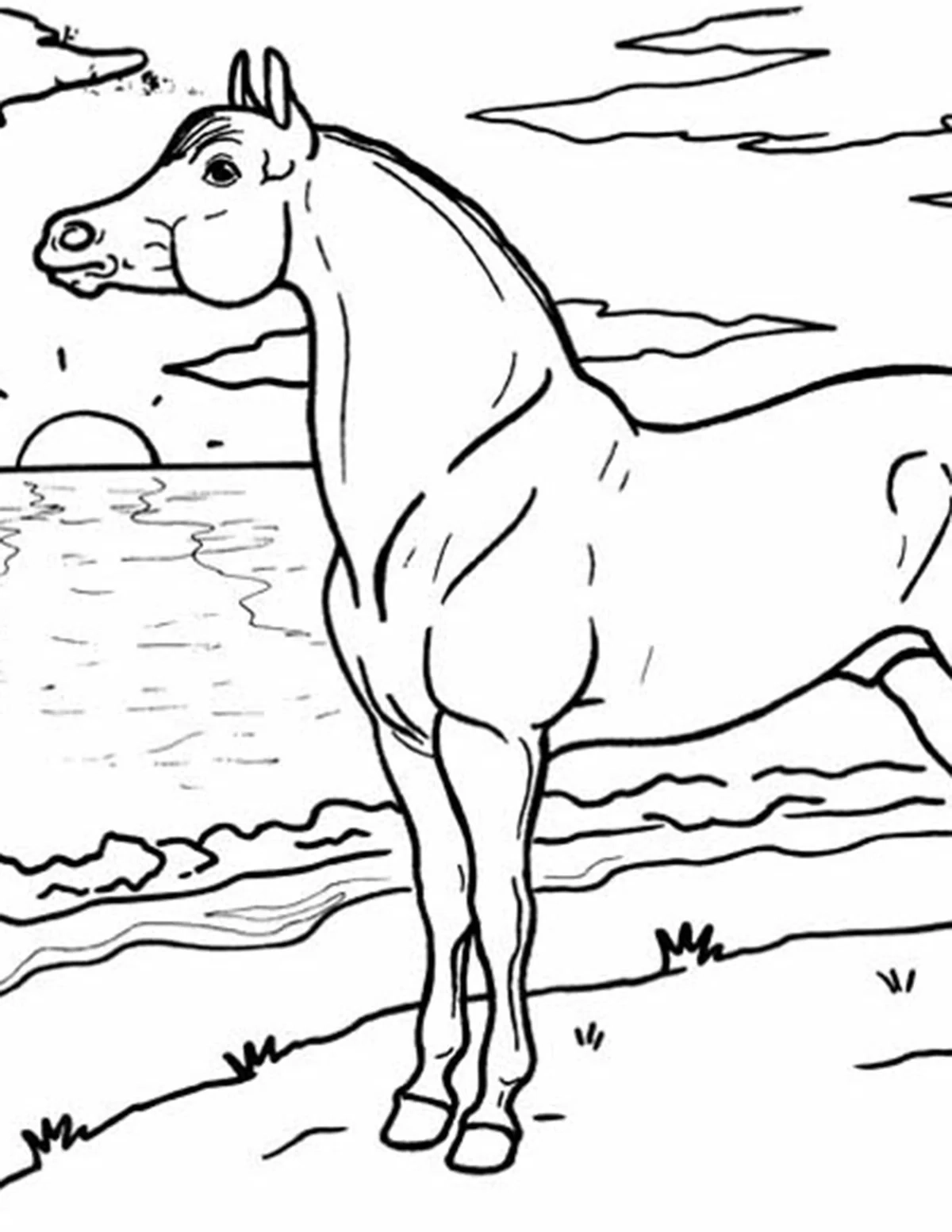 Arabian Coloring Page BreyerHorses