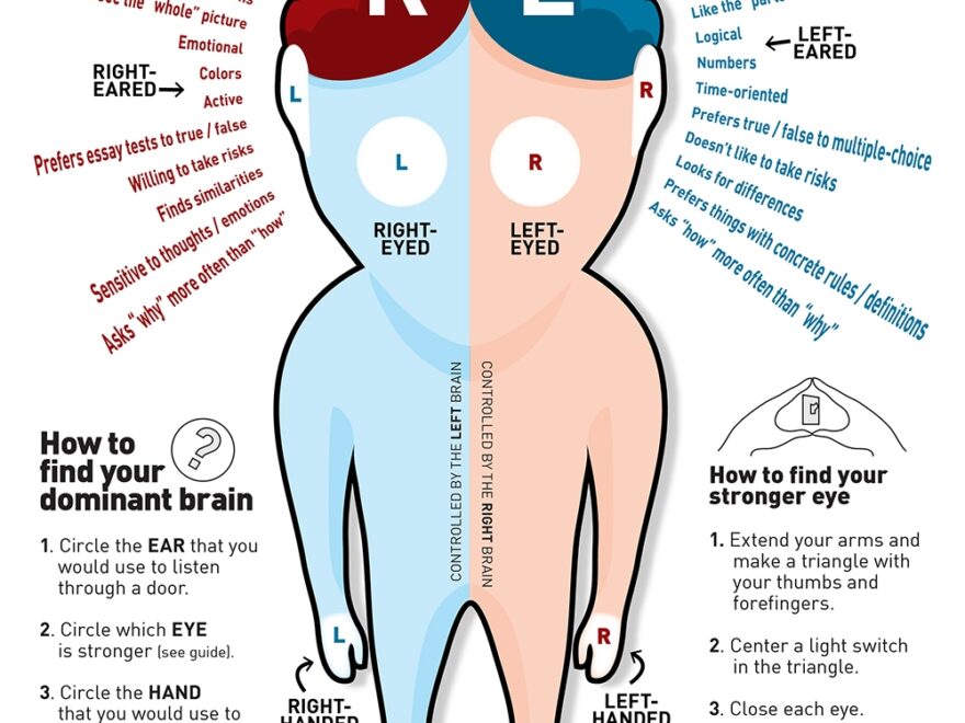 Are You Left Brained Or Right Brained Part I Special 2 Me