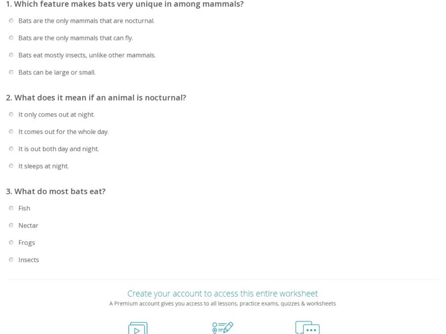Bats Quiz Worksheet For Kids Study
