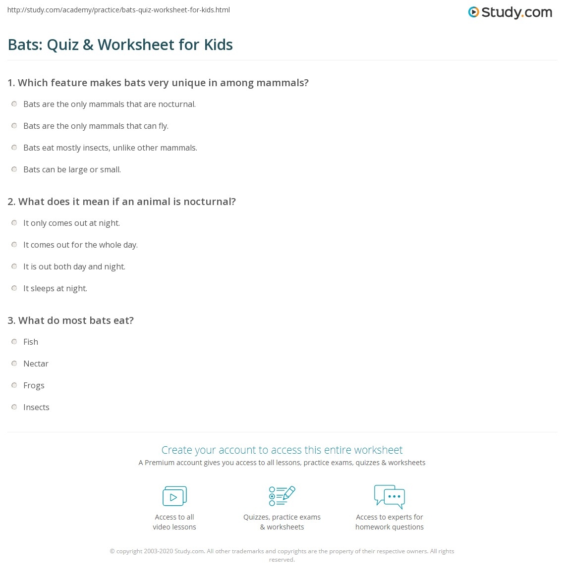 Bats Quiz Worksheet For Kids Study