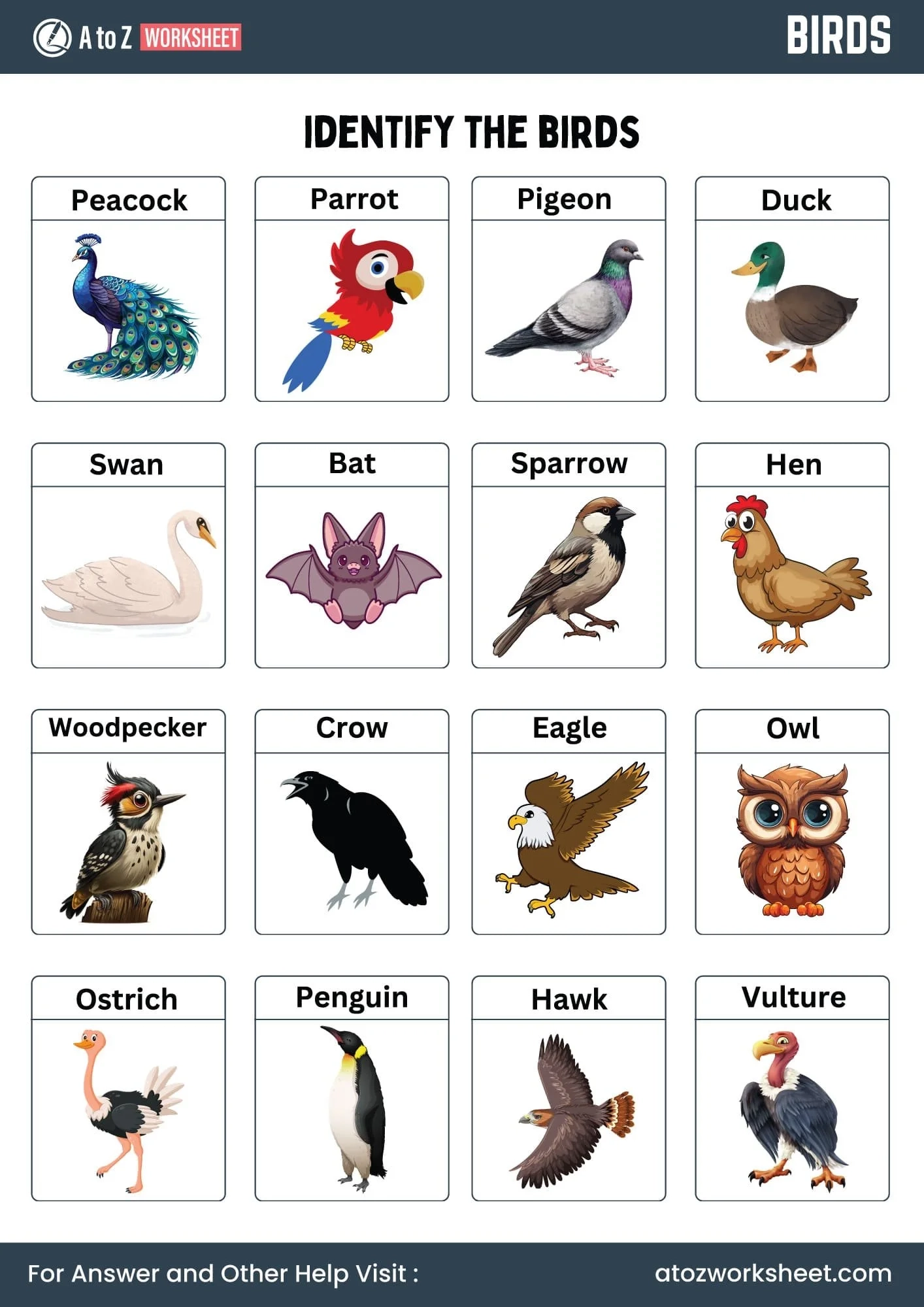 Free Printable Bird Identification Chart Free Printable Bird Identification Chart