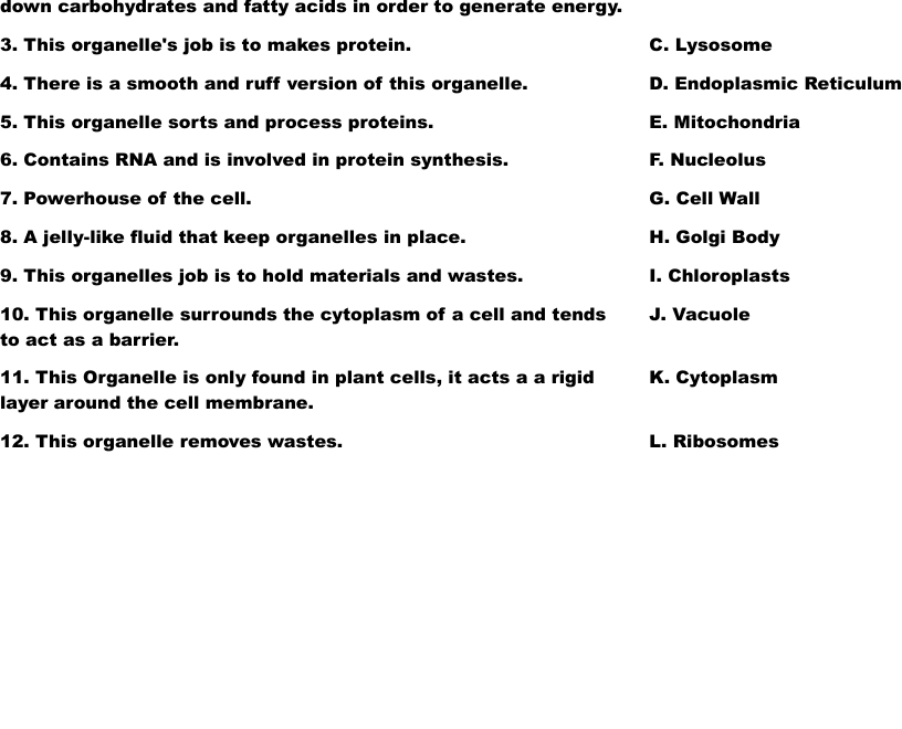 Cell Quiz Worksheet WordMint