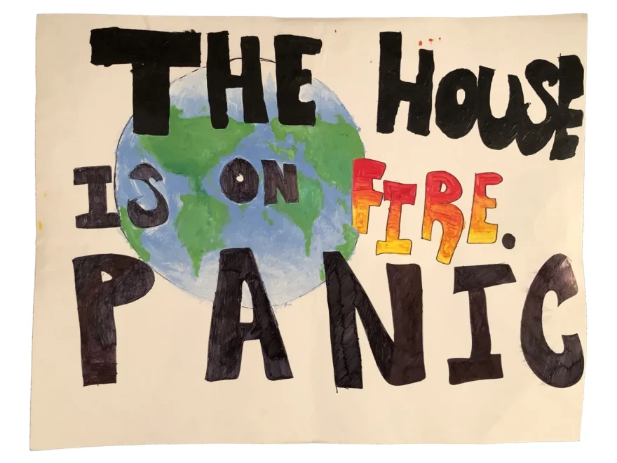 Children Lead The Way A Gallery Of Youth Made Climate Strike Signs The New Yorker