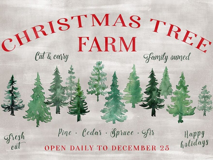 Christmas Tree Farm Sign Poster Print Blursbyai Rosana Laiz Posterazzi