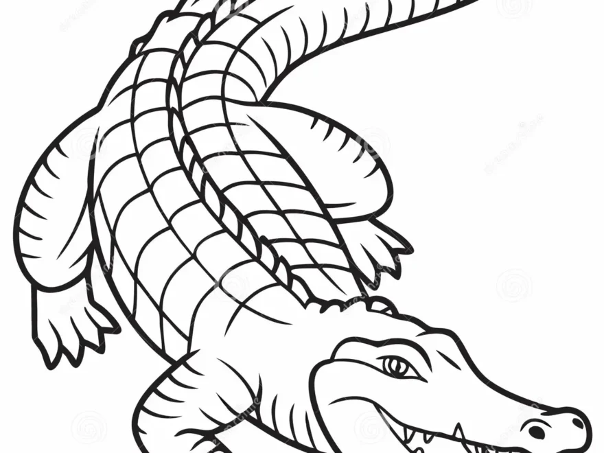 Crocodile Coloring Page With Detailed Scales And Open Mouth Line Art Stock Illustration Illustration Of Jungle Drawing 375207888