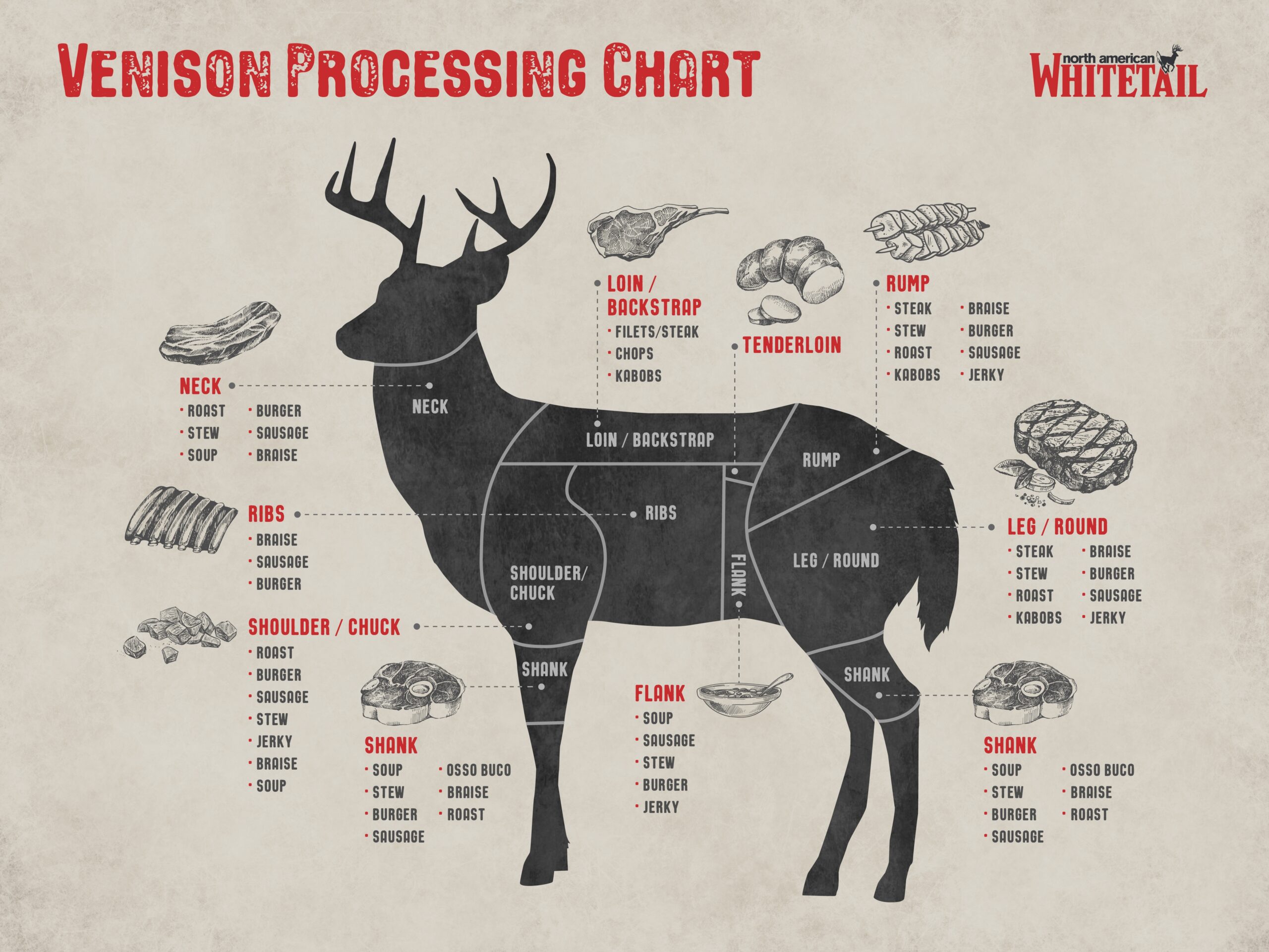 Deer Diagram Complete Guide To The Cuts Of Venison North American Whitetail Deer Diagram Complete Guide To The Cuts Of Venison North American Whitetail