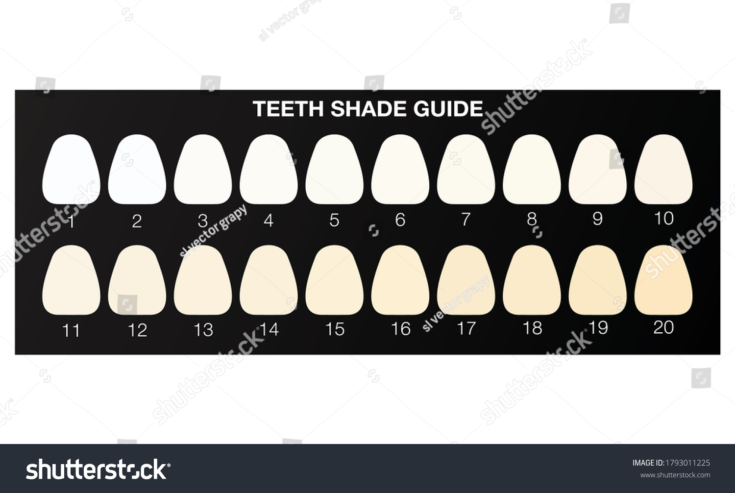 Dental Tooth Shade Guide Over 55 Royalty Free Licensable Stock Illustrations Drawings Shutterstock