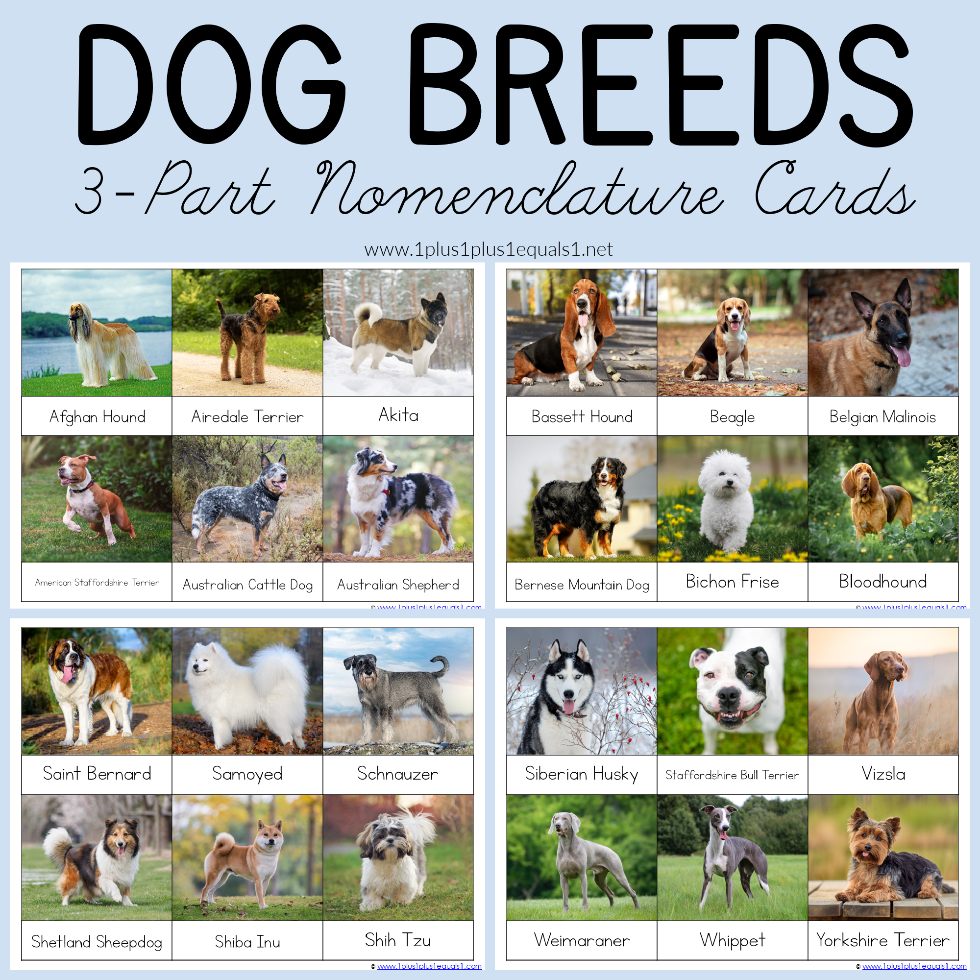 Dog Breed 3 Part Cards 1 1 1 1