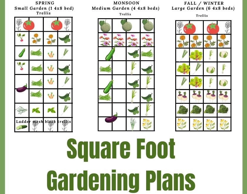 Download Square Foot Gardening Plans Growing In The Garden