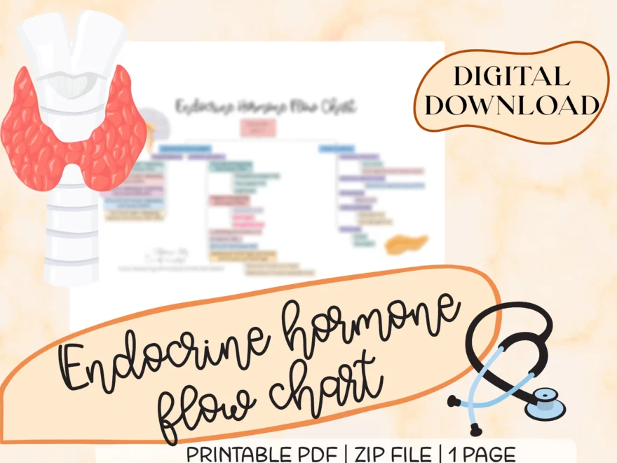 Endocrine Hormones Flow Chart Nursing Medical Guide digital Download Etsy