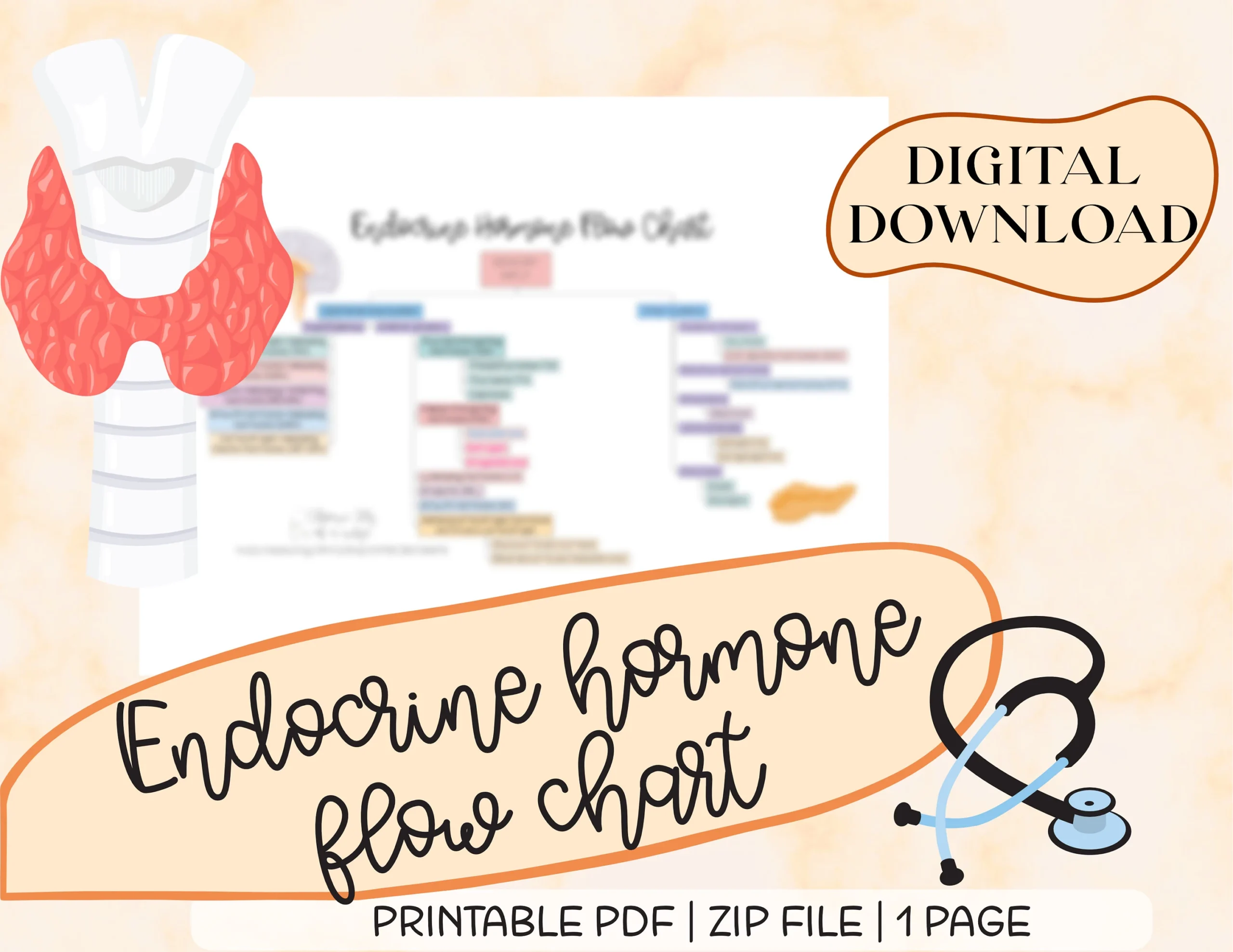 Endocrine Hormones Flow Chart Nursing Medical Guide digital Download Etsy Endocrine Hormones Flow Chart Nursing Medical Guide digital Download Etsy