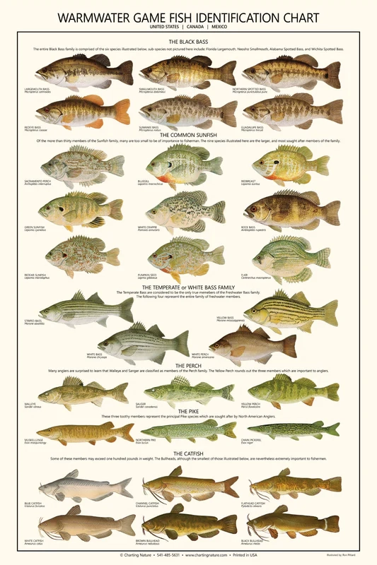 Printable Freshwater Fish Spawn Chart