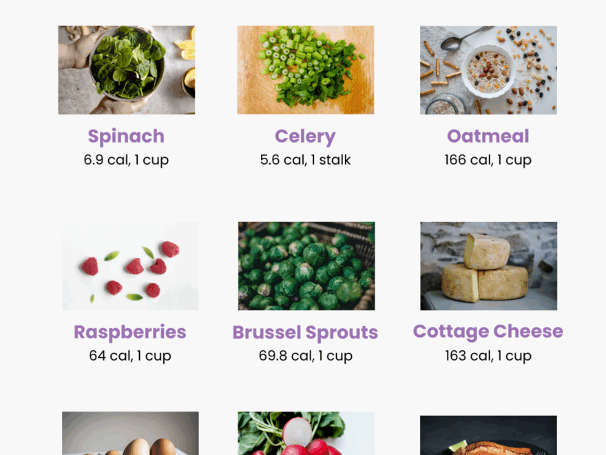 Free Food Calorie Chart Templates Editable And Printable