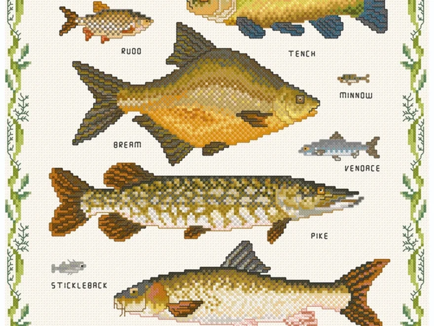 From Source To Sea Freshwater Fish Sampler Etsy
