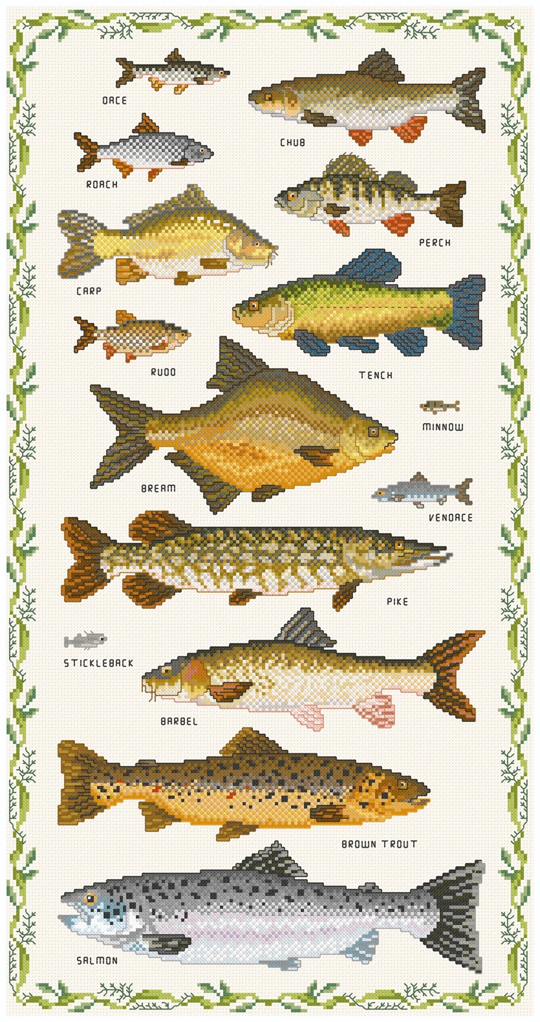 From Source To Sea Freshwater Fish Sampler Etsy