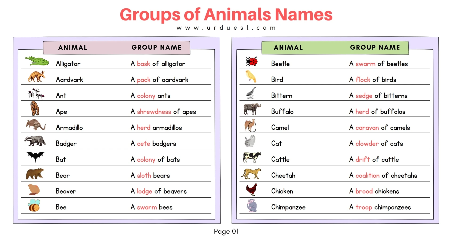 Groups of Animals Names Pages 1 5 Flip PDF Download FlipHTML5