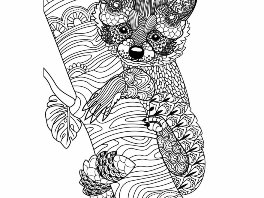 Hard Animal Pattern Coloring Pages Printable Mandala For Kids Made By Teachers
