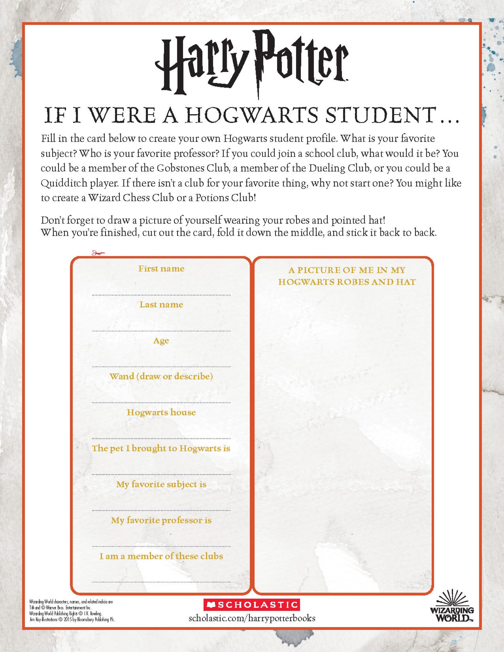 Harry Potter Create Your Own Hogwarts Student Profile Wizarding World