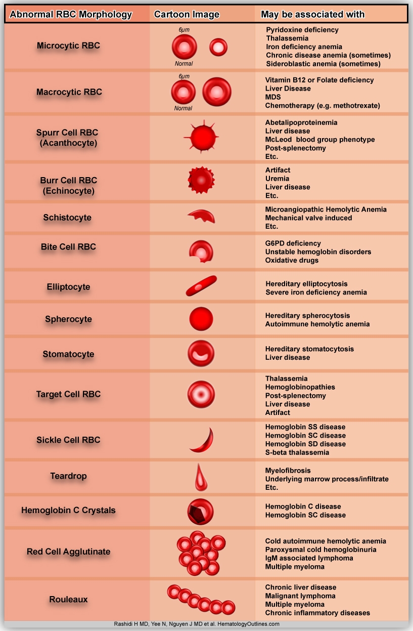 HematologyOutlines Atlas