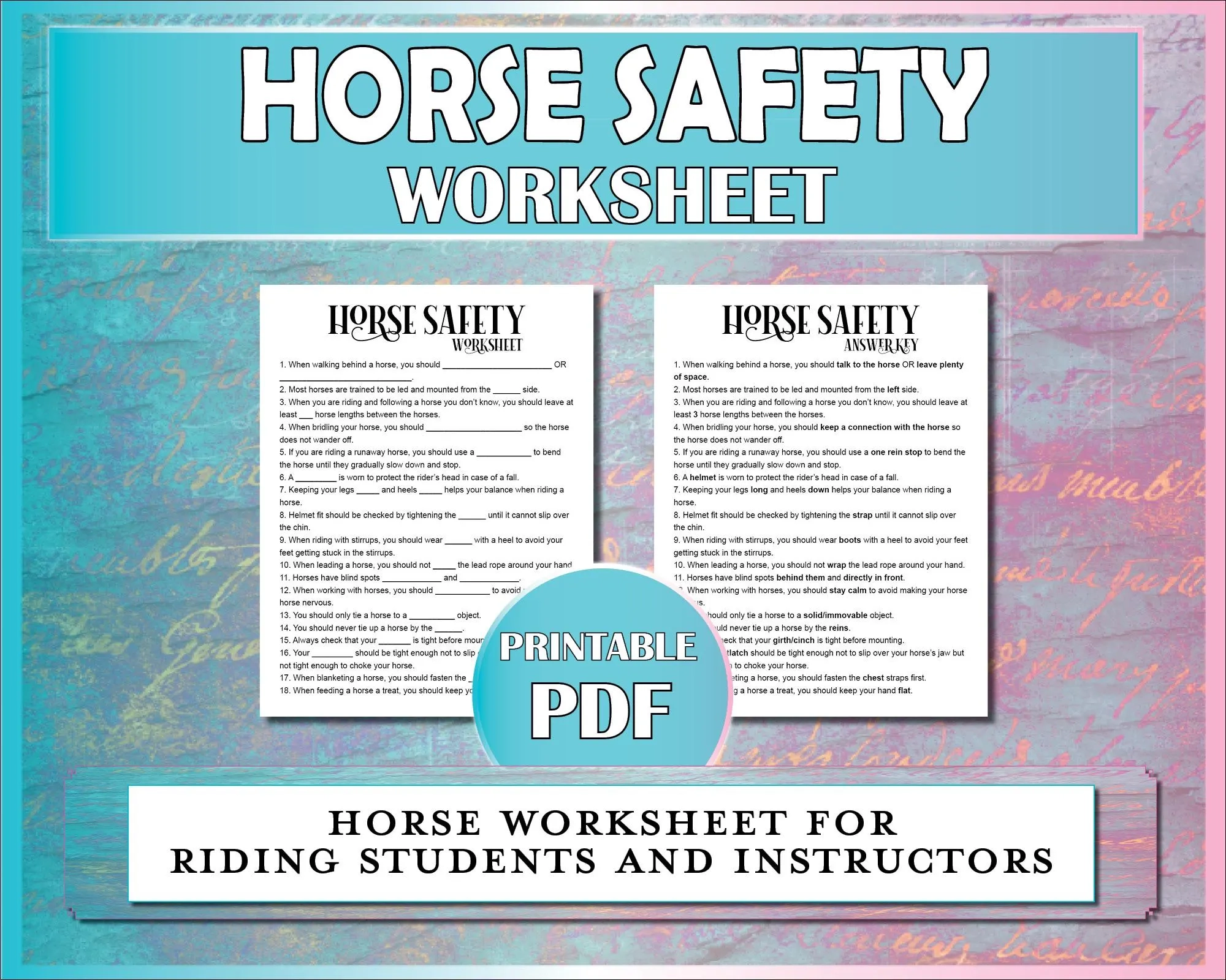 Horse Safety Printable Worksheet Equestrian Safety Activity For Riding Instructors Lessons Horse Camp Barn Safety Quiz For Students Etsy Horse Safety Printable Worksheet Equestrian Safety Activity For Riding Instructors Lessons Horse Camp Barn Safety Quiz For Students Etsy