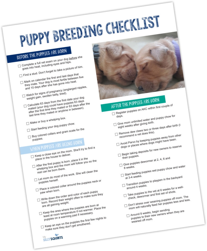 How To Breed Puppies free Printable Checklist My Silly Squirts