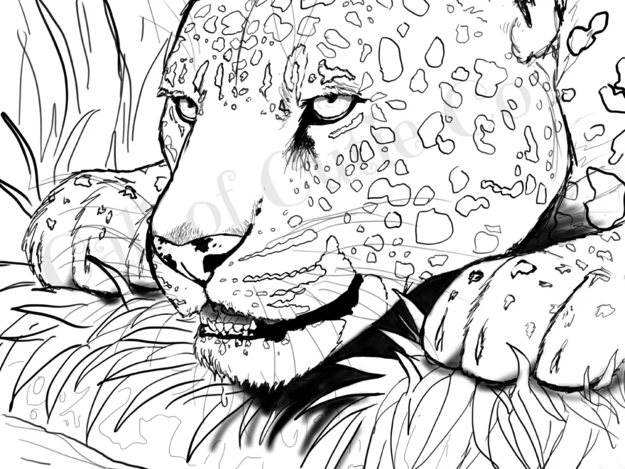 Jaguar Coloring Page Animal Coloring Page Etsy