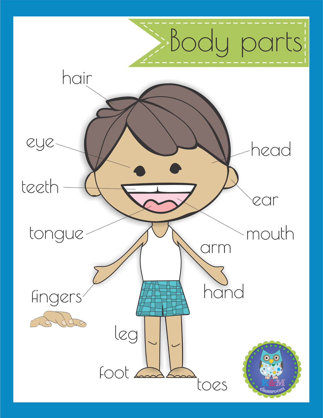 Free Printable Body Parts Chart