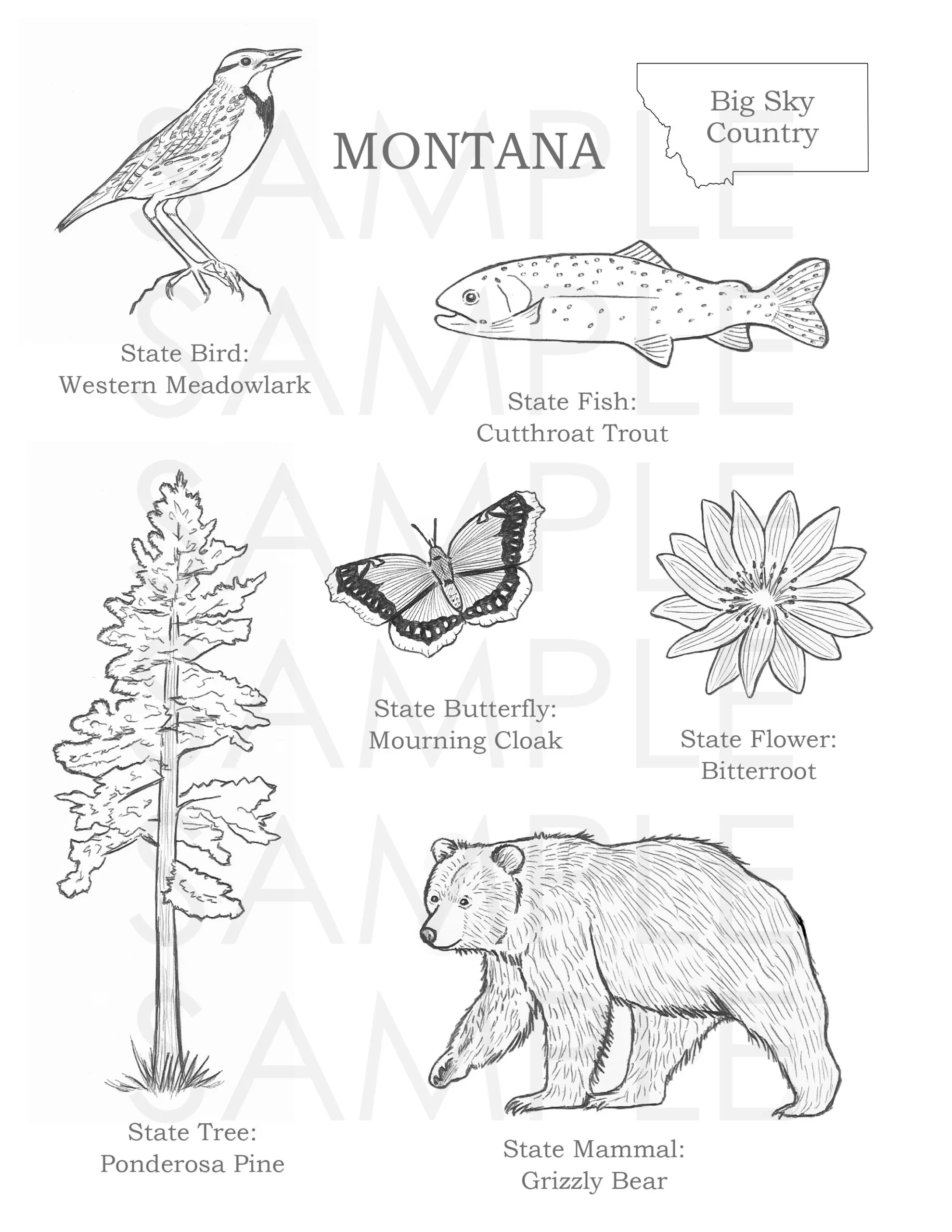 Montana Coloring Page Etsy Montana Coloring Page Etsy