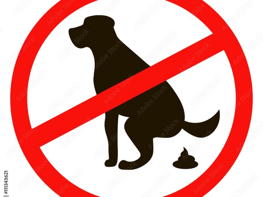 No Dog Pooping Signs Black Silhouette Isolated On White Background Stock Vector Adobe Stock