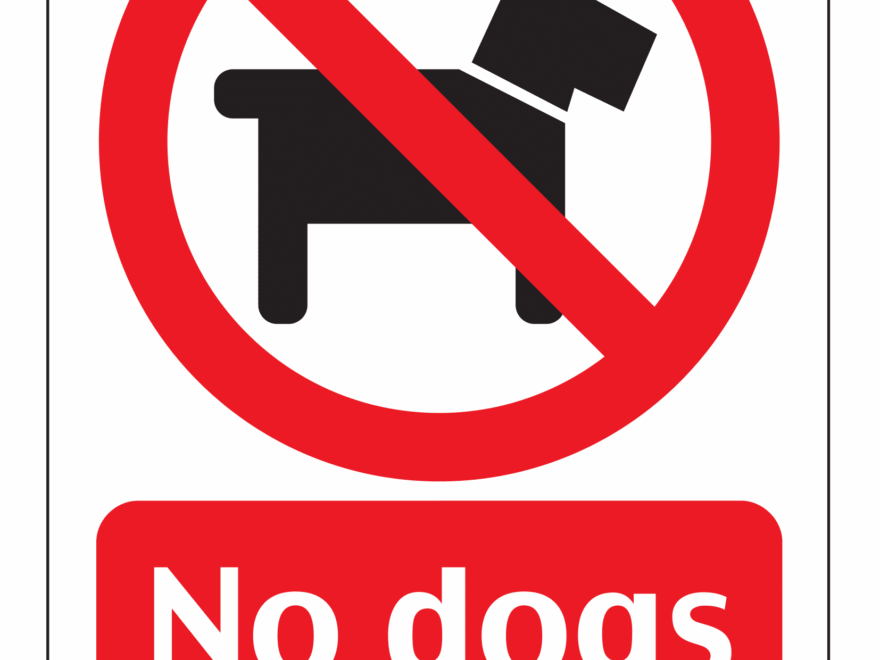 No Dog Signs Poster Template