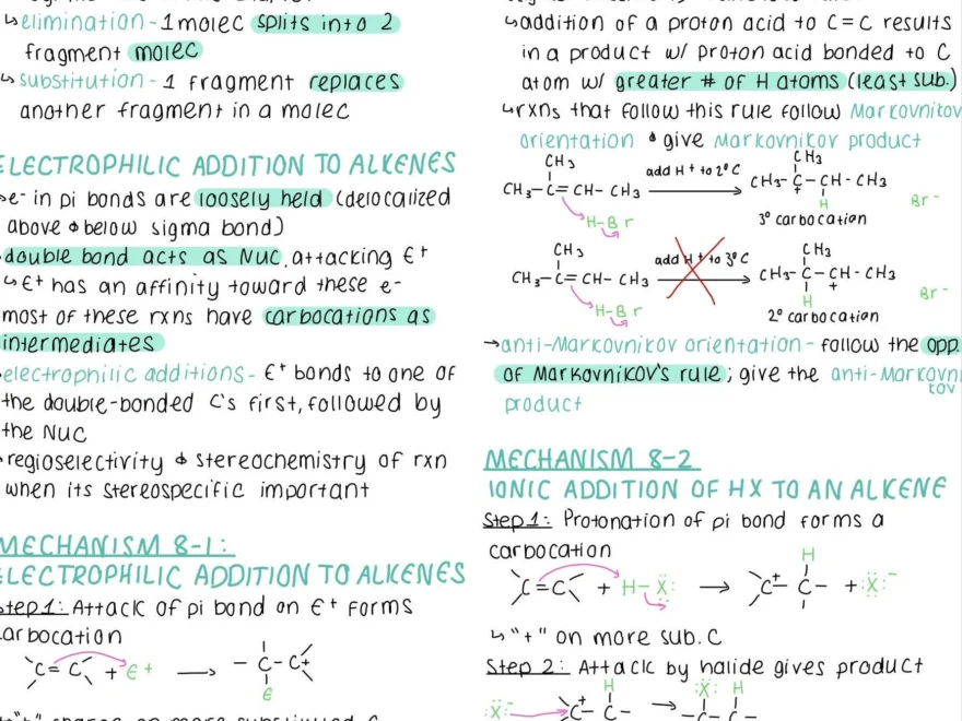 Organic Chemistry 1 Notes 40 Pages Etsy