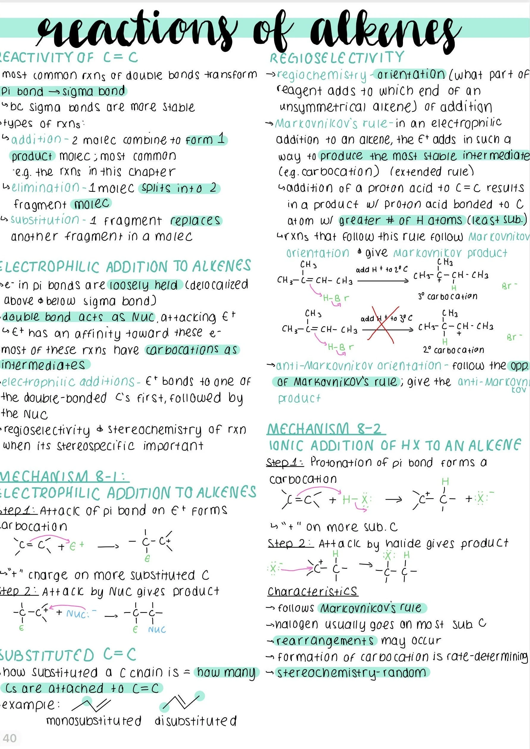 Organic Chemistry 1 Notes 40 Pages Etsy