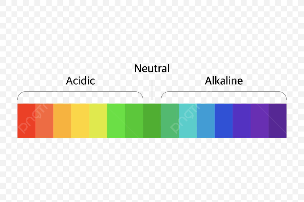 Ph Scale Color Chart A Vector Illustration Of A Universal Indicator Diagram With Ph Scale Vector Concentration Vector Measure Illustration Background And Wallpaper For Free Download Pngtree