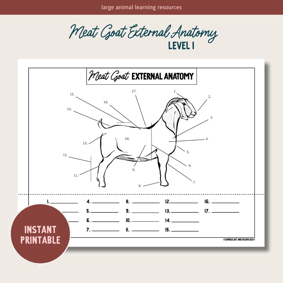 Goat Care Quiz Printable