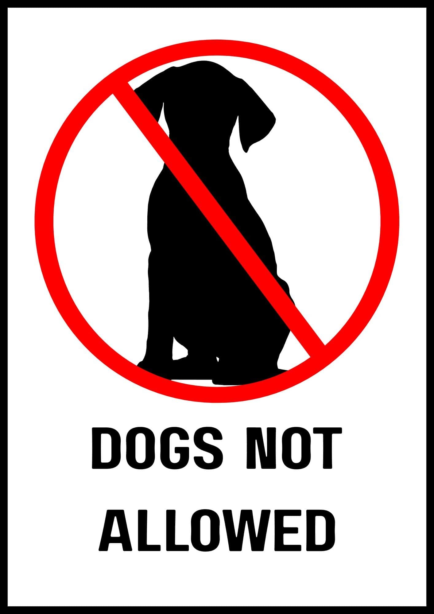 Printable No Dogs Allowed Sign Free Designs The Pink Craft Box