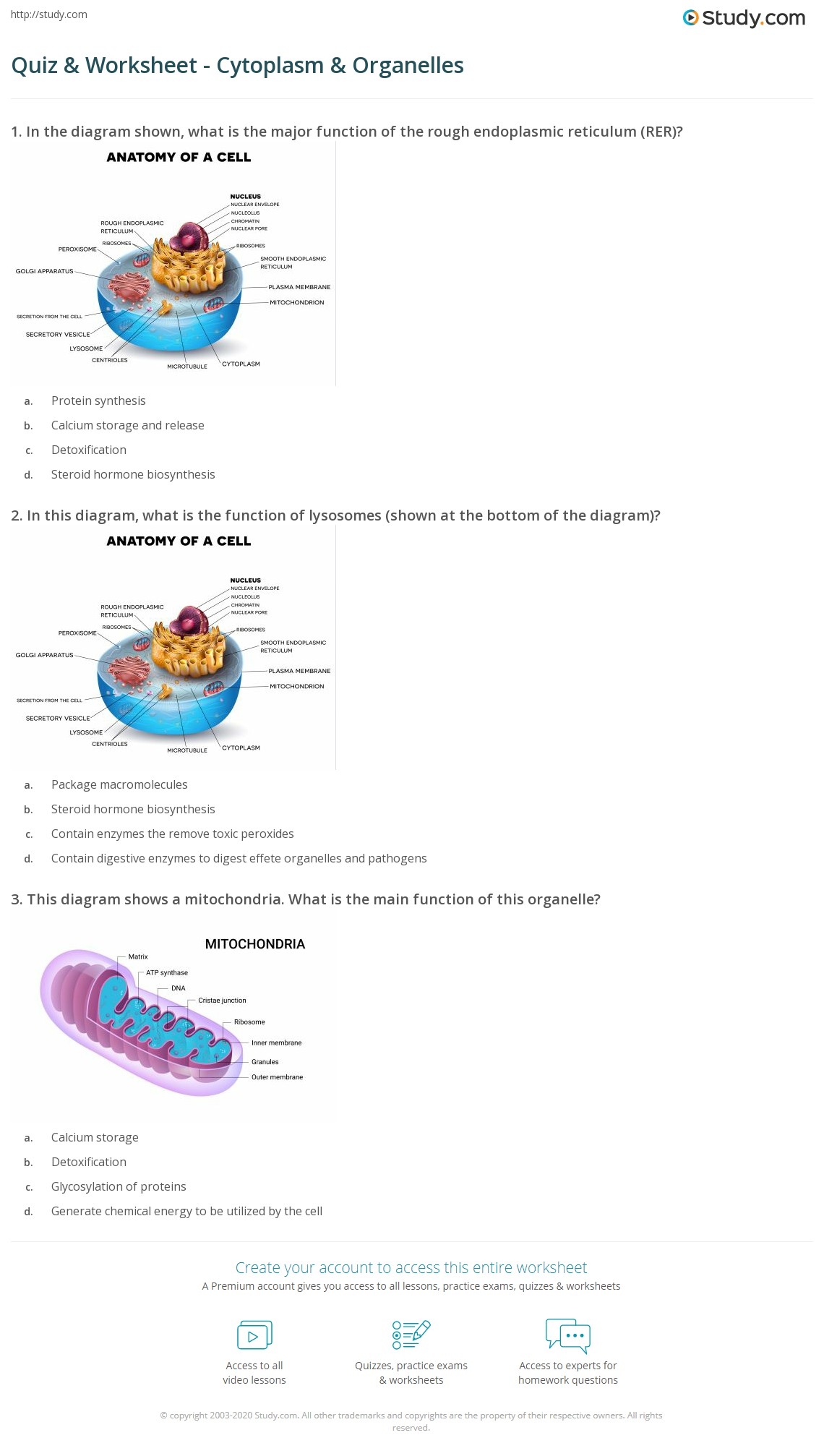 Organelle Functions Quiz Printable Organelle Functions Quiz Printable