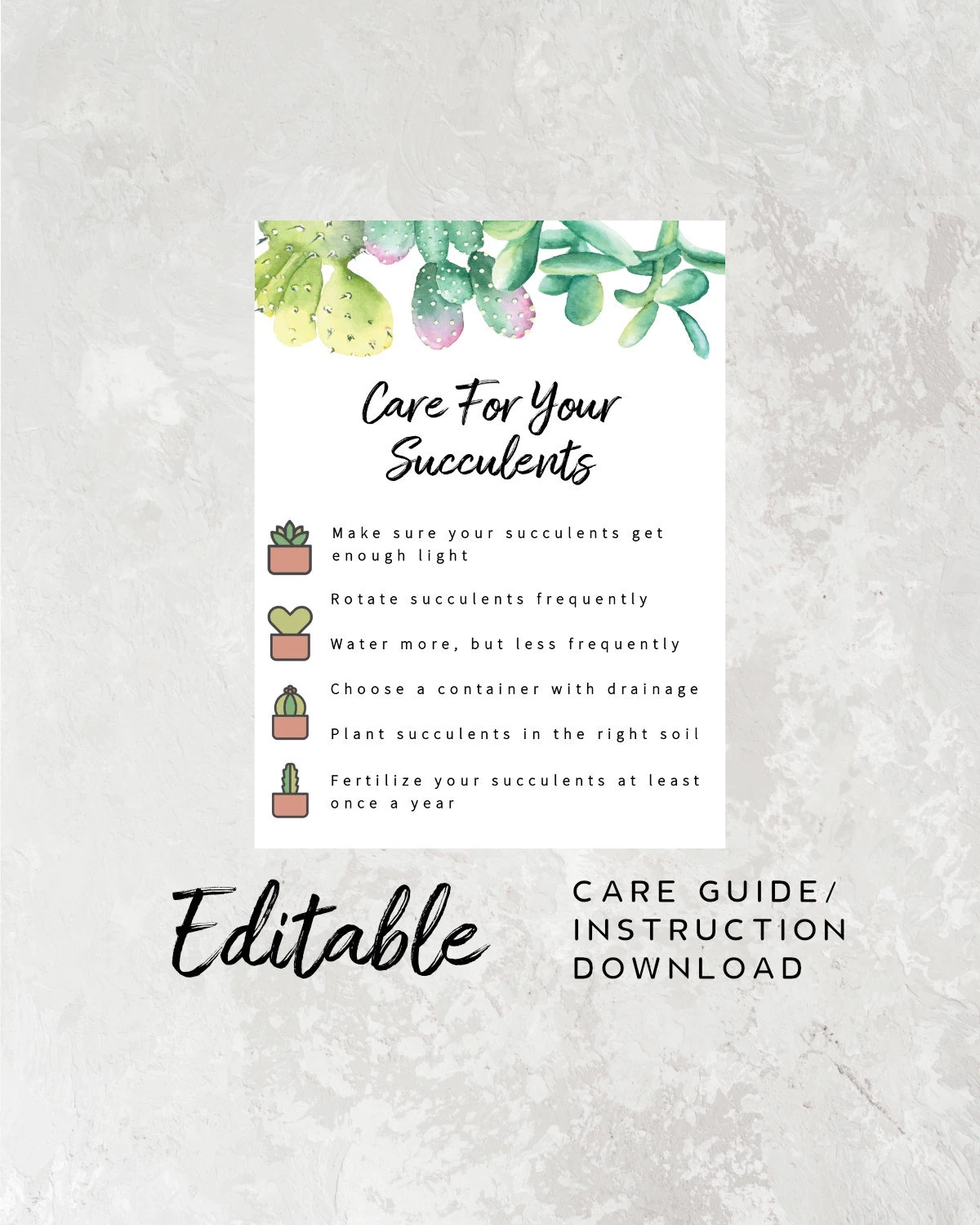 Succulent Care Sheet Printable