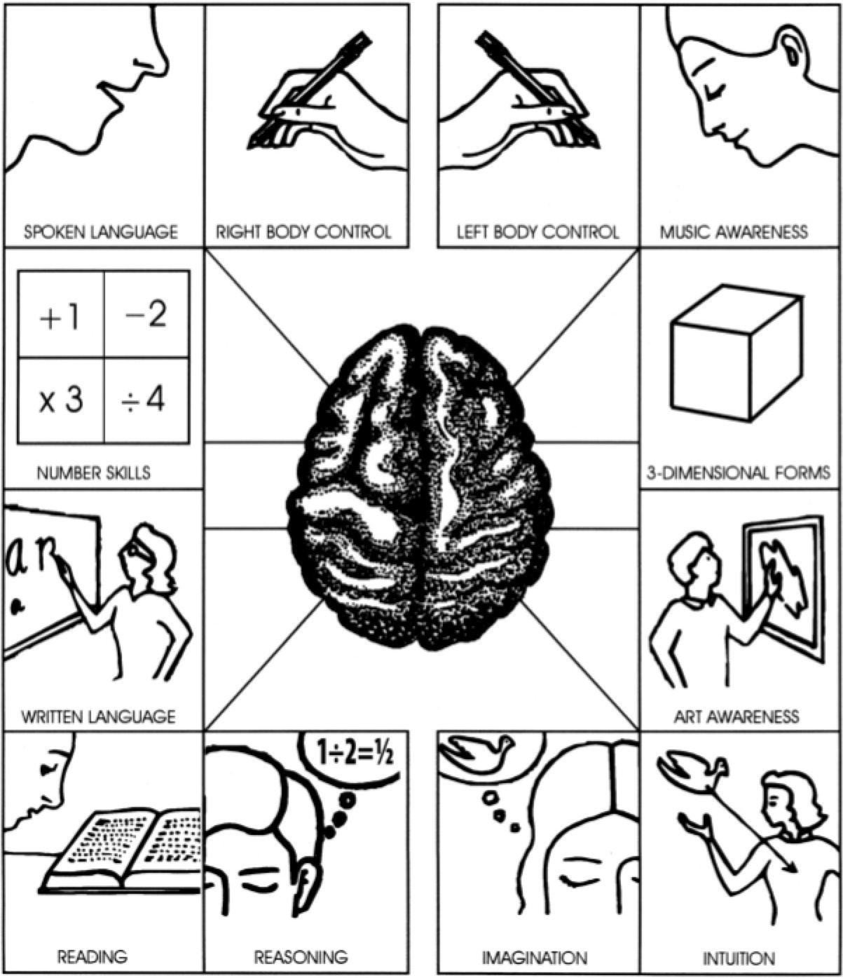 The Character Therapist T3 Is Your Character Left Brained Or Right Brained The Character Therapist T3 Is Your Character Left Brained Or Right Brained