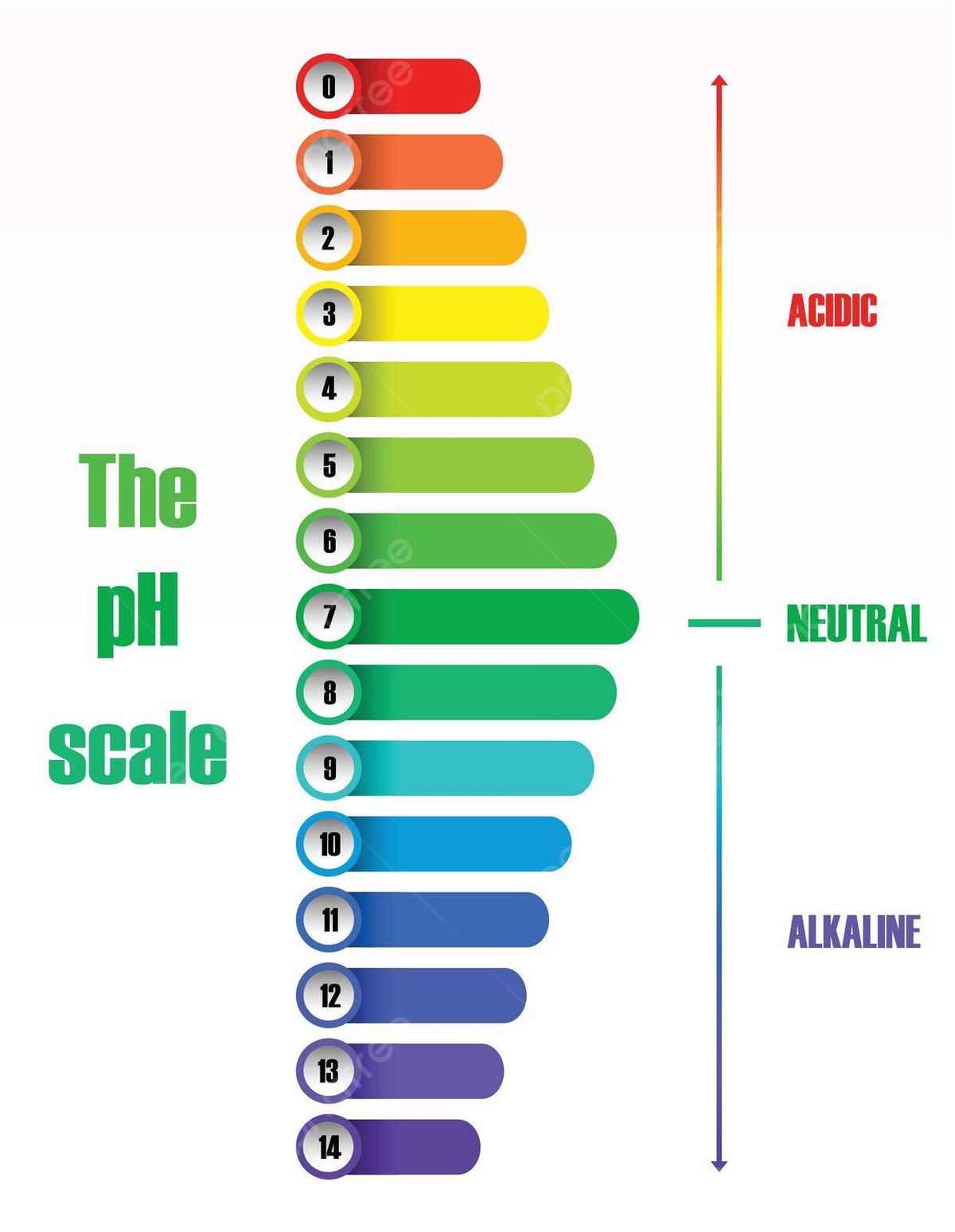 Big Ph Chart Printable