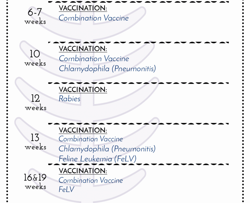 Vaccines Family Veterinary Clinic In Crofton Gambrills MD