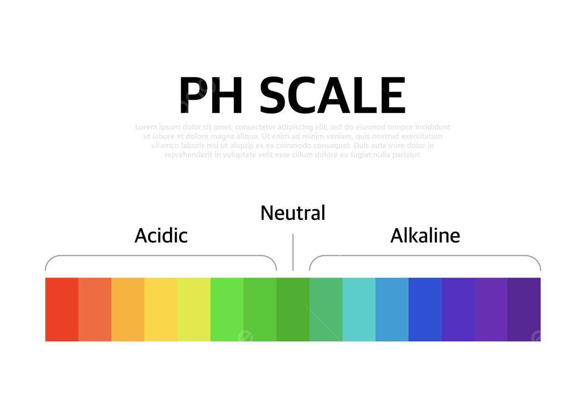 Vector Illustration Of The Universal Ph Scale Indicator Color Chart And Diagram Vector Litmus Experiment Acid Illustration Background And Wallpaper For Free Download Pngtree