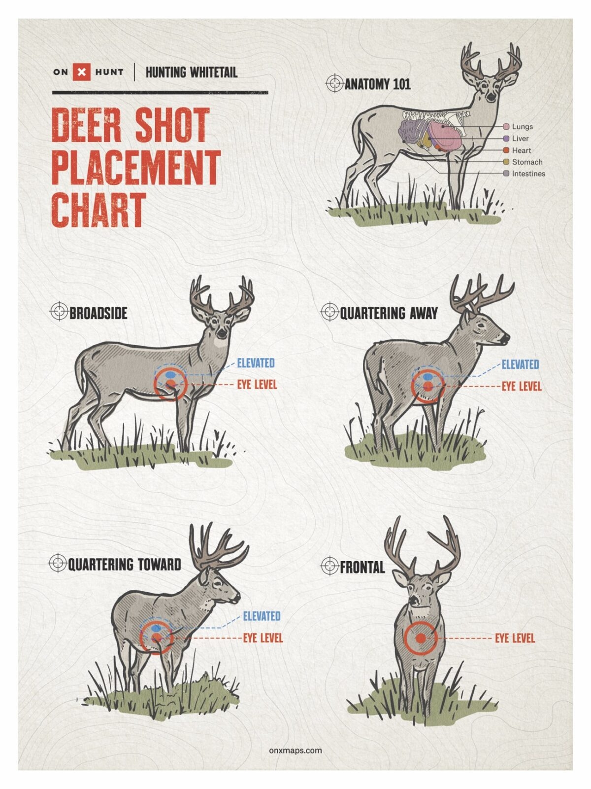 Printable Guide To Quatering A Deer Printable Guide To Quatering A Deer