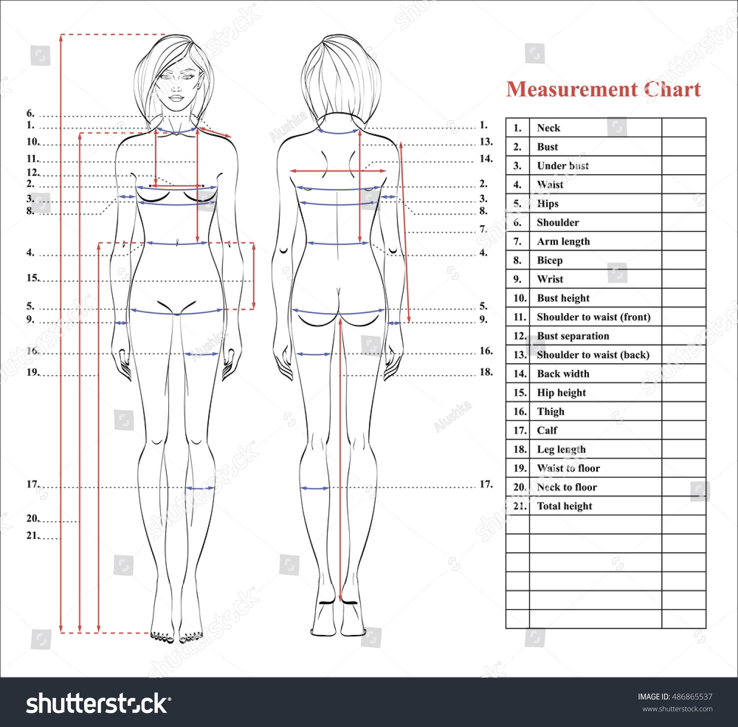 Printable Female Body Measurement Chart